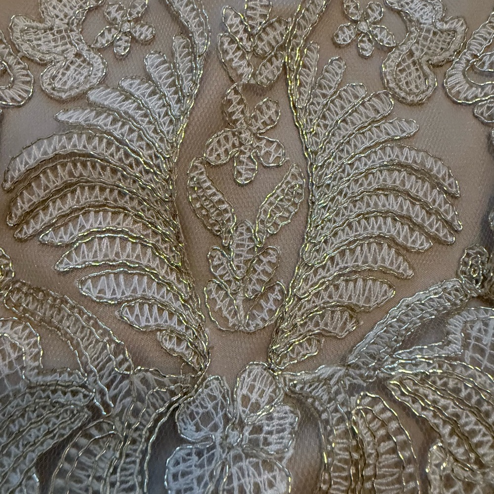 Tadashi Shoji Champagne Lace Midi Dress - Picture 3 of 6